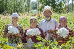 cotonea-ledande-tyska-märket-ekologisk-bomullsbönder-kirgizistan